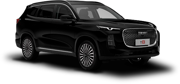 Купить TENET T8 I 2024 2025 в Новосибирске - Летный микрорайон 12 - auto-stocks.ru - цвет Глубокий черный