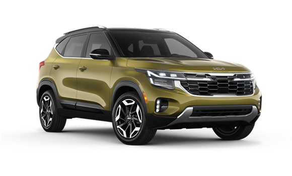 Купить KIA Seltos I Рест 2024 2025 в Новосибирске - Летный микрорайон 12 - auto-stocks.ru - цвет Valais Green/Fusion Black Roof