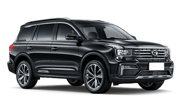 Купить Gac GS8  2024 2025 в Новосибирске - Летный микрорайон 12 - auto-stocks.ru - цвет Черный