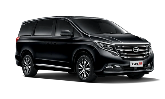 Купить Gac GN8  2024 2025 в Новосибирске - Летный микрорайон 12 - auto-stocks.ru - цвет Черный