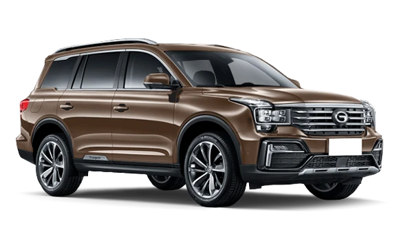 Купить Gac GS8  2024 2025 в Новосибирске - Летный микрорайон 12 - auto-stocks.ru - цвет Бронза