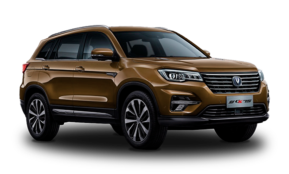 Купить Сhangan CS75 FL I Рест 2025 2026 в Новосибирске - Летный микрорайон 12 - auto-stocks.ru - цвет Коричневый