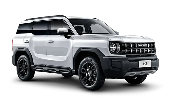 Купить Haval H3  2024 2025 в Новосибирске - Летный микрорайон 12 - auto-stocks.ru - цвет Благородный агат