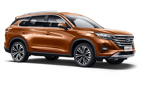 Купить Gac GS5 I 2025 2026 в Новосибирске - Летный микрорайон 12 - auto-stocks.ru - цвет Коричневый