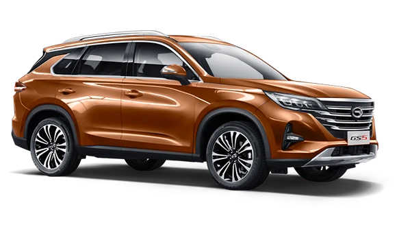 Купить Gac GS5  2024 2025 в Новосибирске - Летный микрорайон 12 - auto-stocks.ru - цвет Коричневый